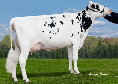 Gen-I-Beq Shottle Bombi
